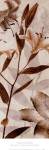 Ambre Antique II by Thea Schrack