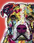 American Bulldog by Dean Russo