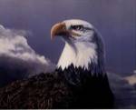 American Portrait by Terry Isaac