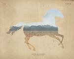 American Southwest Horse Distressed by Wild Apple Portfolio
