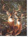 Among the Pines by Carolyn Mock