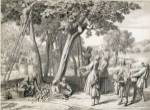 An Apple Harvest by Claude Simpol