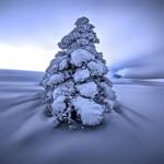 And the Wind Blows by Philippe Sainte-Laudy