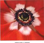 Anemone by Andrew Levine