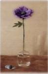 Anemone by Judy Mandolf