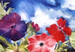 Anemonen by Marija Schwarz