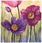 Anemoni In Rosa by Giuseppina Tartagni