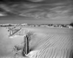 Anglesea Moire I by Geoffrey Ansel Agrons