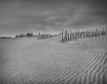 Anglesea Moire II by Geoffrey Ansel Agrons