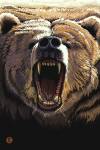 Angry Bear by Lantern Press