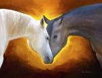 Animal Love by Ata Alishahi
