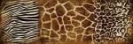 Animal Prints by Jace Grey
