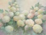 Annabelle Hydrangeas by Julia Purinton
