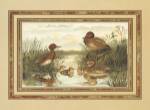 Anonymous - Ducks Size 16x20