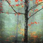 Another Day, Another Fairytale by Katya Horner