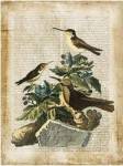 Antiquarian Birds IV by Vision Studios