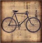 Antique Appraisal IX by Vision Studios
