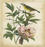 Antique Bird in Nature II by Eduardo Sales