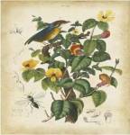 Antique Bird in Nature III by Eduardo Sales