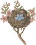 Antique Bird's Nest I by James Bolton