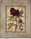 Antique Botanicals V by Karina Nicole