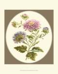 Antique Bouquet II by George Edwards