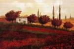 Apapaveri Toscana II by Guido Borelli