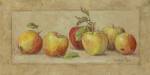 Apple Fresco by Barbara Mock