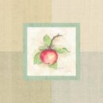 Apple Inside by Peggy Abrams
