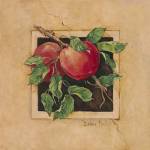 Apple Square by Barbara Mock