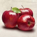 Apples by Remo Barbieri