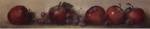 Apples and Grapes by Judith Levin
