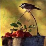 Apples & Chickadee by Chris Vest