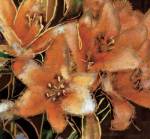 Apricot Dreams I by Ashfield