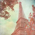 April in Paris I by Emily Navas