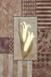 Aqua Calla Lily W- White by Stephanie Marrott