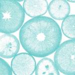 Aqua Lemon Slices by Veruca Salt