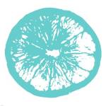 Aqua Orange Slice by Veruca Salt