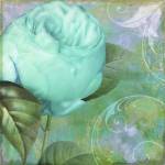 Aqua Rose I by Color Bakery