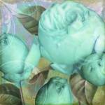 Aqua Rose II by Color Bakery