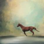 Arabian Run by Jai Johnson