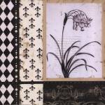 Argyle Et Fleurs I by Carol Robinson