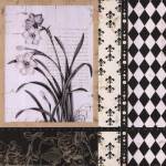 Argyle Et Fleurs II by Carol Robinson