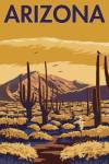 Arizona Cactus Scene by Lantern Press