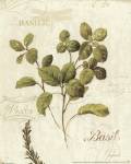 Aromatique III by Lisa Audit
