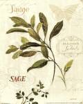 Aromatique IV by Lisa Audit