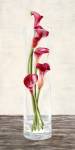 Arrangement of Callas by Shin Mills