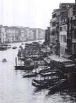 Array of Boats, Venice by Cyndi Schick