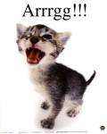 Arrrgg! by Yoneo Morita