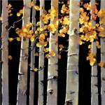 Aspen Grove by Michael O'Toole